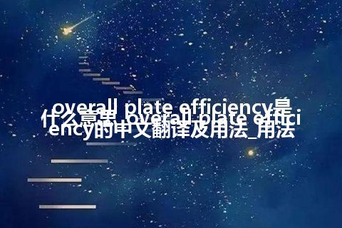 overall plate efficiency是什么意思_overall plate efficiency的中文翻译及用法_用法