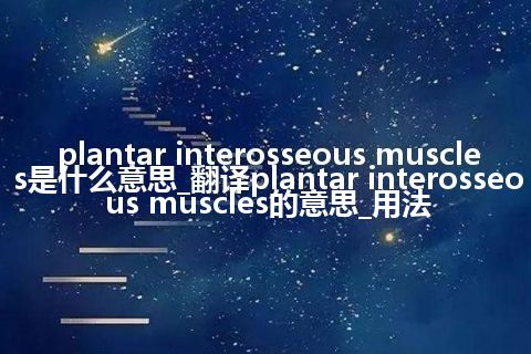 plantar interosseous muscles是什么意思_翻译plantar interosseous muscles的意思_用法