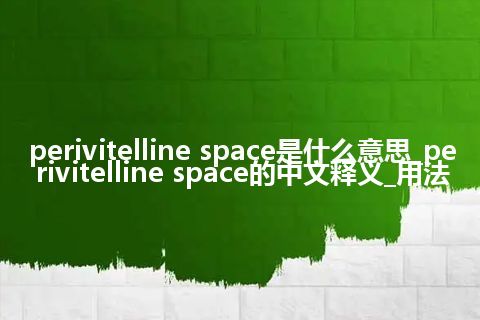 perivitelline space是什么意思_perivitelline space的中文释义_用法