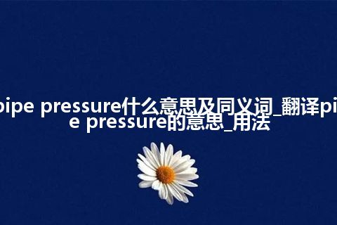 pipe pressure什么意思及同义词_翻译pipe pressure的意思_用法
