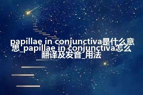 papillae in conjunctiva是什么意思_papillae in conjunctiva怎么翻译及发音_用法