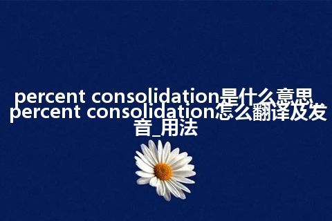 percent consolidation是什么意思_percent consolidation怎么翻译及发音_用法