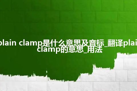 plain clamp是什么意思及音标_翻译plain clamp的意思_用法