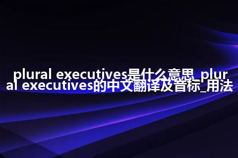 plural executives是什么意思_plural executives的中文翻译及音标_用法