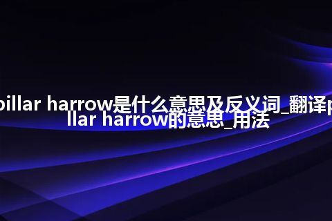 pillar harrow是什么意思及反义词_翻译pillar harrow的意思_用法