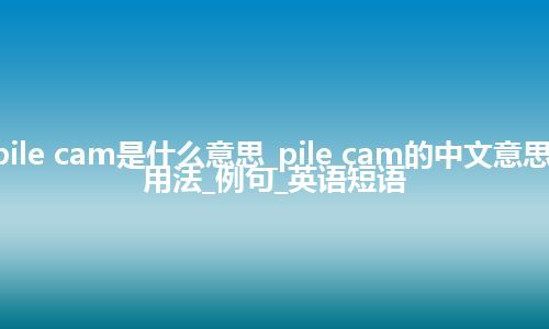 pile cam是什么意思_pile cam的中文意思_用法_例句_英语短语