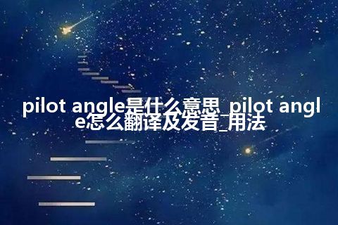 pilot angle是什么意思_pilot angle怎么翻译及发音_用法