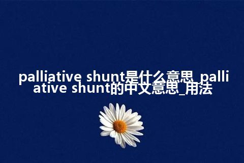 palliative shunt是什么意思_palliative shunt的中文意思_用法