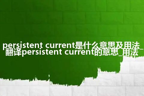 persistent current是什么意思及用法_翻译persistent current的意思_用法