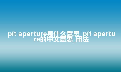 pit aperture是什么意思_pit aperture的中文意思_用法