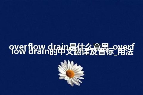 overflow drain是什么意思_overflow drain的中文翻译及音标_用法