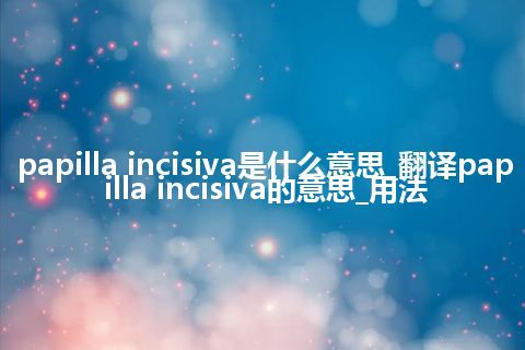papilla incisiva是什么意思_翻译papilla incisiva的意思_用法