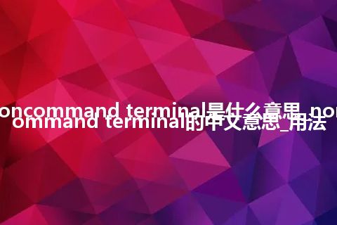 noncommand terminal是什么意思_noncommand terminal的中文意思_用法