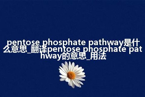 pentose phosphate pathway是什么意思_翻译pentose phosphate pathway的意思_用法