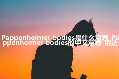 Pappenheimer bodies是什么意思_Pappenheimer bodies的中文意思_用法