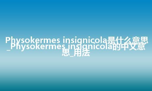 Physokermes insignicola是什么意思_Physokermes insignicola的中文意思_用法