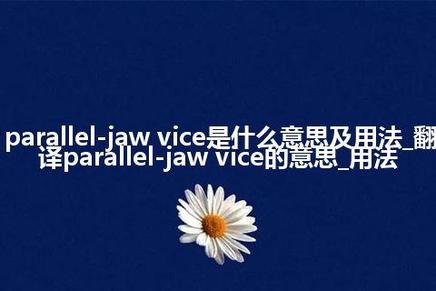 parallel-jaw vice是什么意思及用法_翻译parallel-jaw vice的意思_用法