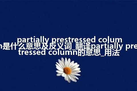 partially prestressed column是什么意思及反义词_翻译partially prestressed column的意思_用法