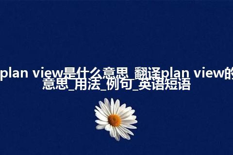 plan view是什么意思_翻译plan view的意思_用法_例句_英语短语