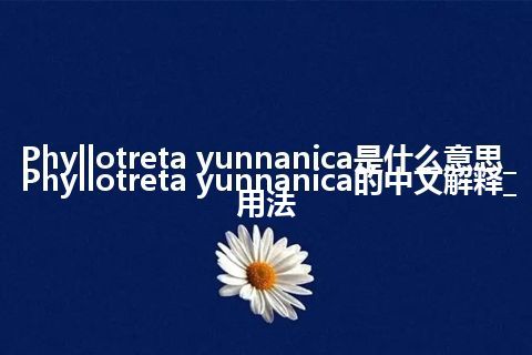 Phyllotreta yunnanica是什么意思_Phyllotreta yunnanica的中文解释_用法