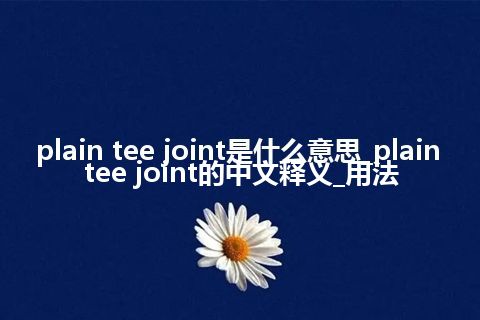 plain tee joint是什么意思_plain tee joint的中文释义_用法