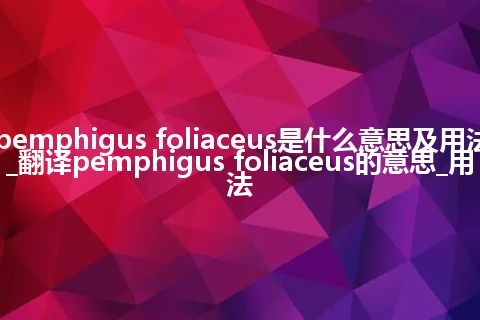pemphigus foliaceus是什么意思及用法_翻译pemphigus foliaceus的意思_用法