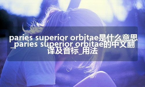 paries superior orbitae是什么意思_paries superior orbitae的中文翻译及音标_用法
