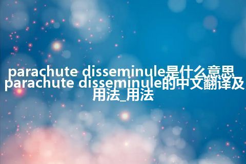 parachute disseminule是什么意思_parachute disseminule的中文翻译及用法_用法