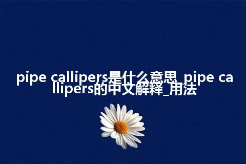 pipe callipers是什么意思_pipe callipers的中文解释_用法