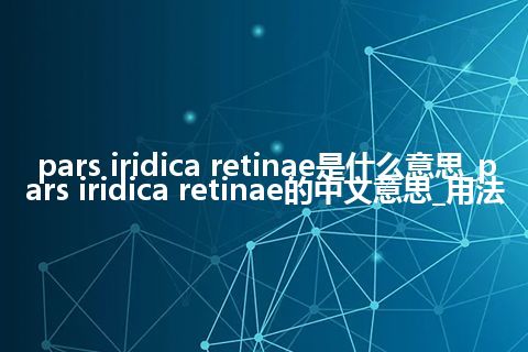 pars iridica retinae是什么意思_pars iridica retinae的中文意思_用法