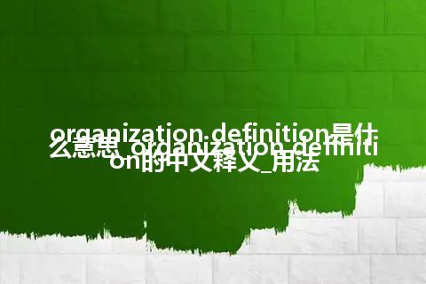 organization definition是什么意思_organization definition的中文释义_用法