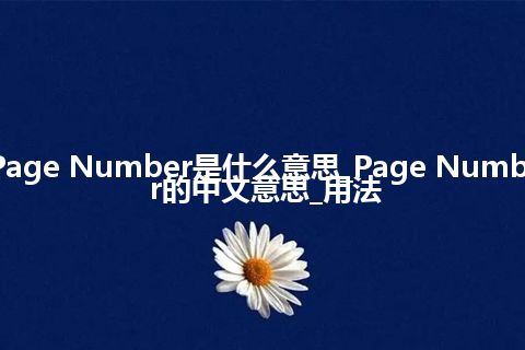 Page Number是什么意思_Page Number的中文意思_用法