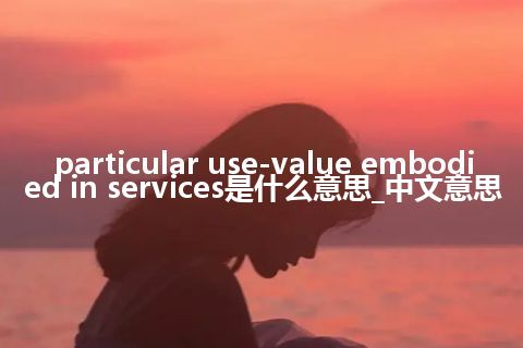particular use-value embodied in services是什么意思_中文意思