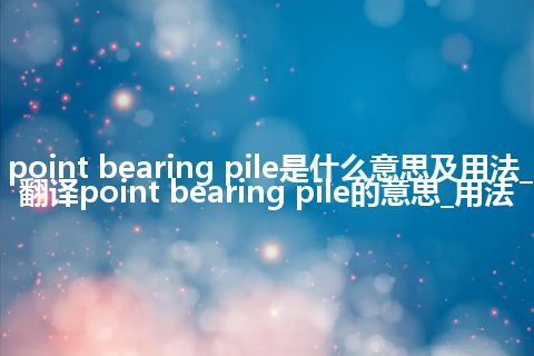 point bearing pile是什么意思及用法_翻译point bearing pile的意思_用法
