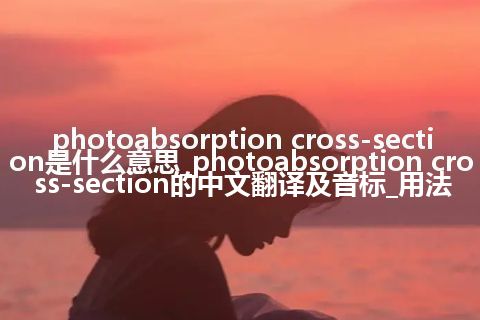 photoabsorption cross-section是什么意思_photoabsorption cross-section的中文翻译及音标_用法