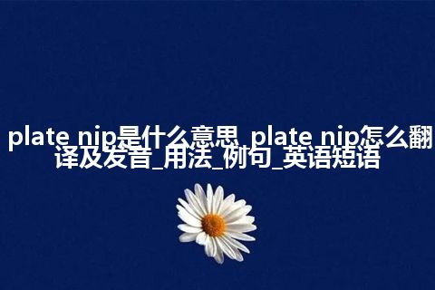 plate nip是什么意思_plate nip怎么翻译及发音_用法_例句_英语短语