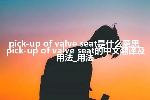 pick-up of valve seat是什么意思_pick-up of valve seat的中文翻译及用法_用法