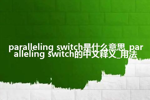 paralleling switch是什么意思_paralleling switch的中文释义_用法