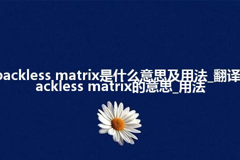 packless matrix是什么意思及用法_翻译packless matrix的意思_用法