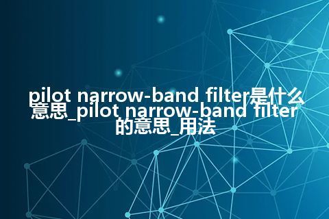 pilot narrow-band filter是什么意思_pilot narrow-band filter的意思_用法