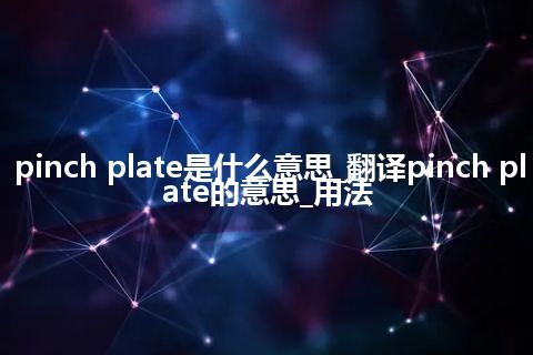 pinch plate是什么意思_翻译pinch plate的意思_用法