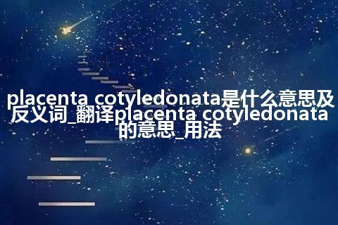 placenta cotyledonata是什么意思及反义词_翻译placenta cotyledonata的意思_用法