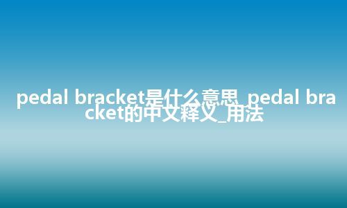 pedal bracket是什么意思_pedal bracket的中文释义_用法