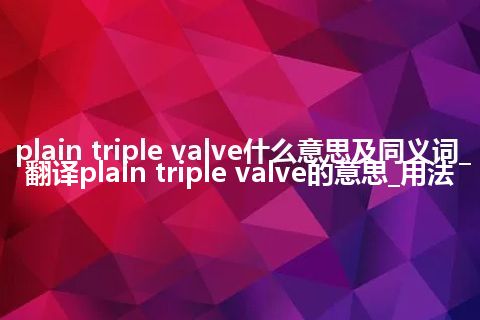 plain triple valve什么意思及同义词_翻译plain triple valve的意思_用法