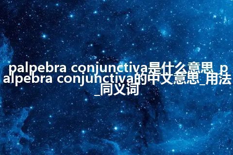 palpebra conjunctiva是什么意思_palpebra conjunctiva的中文意思_用法_同义词