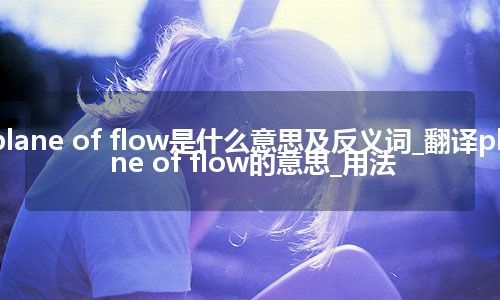 plane of flow是什么意思及反义词_翻译plane of flow的意思_用法