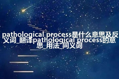 pathological process是什么意思及反义词_翻译pathological process的意思_用法_同义词