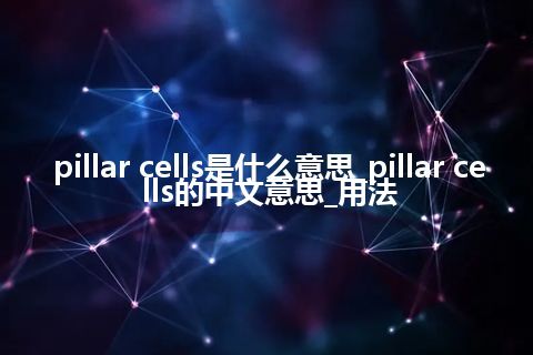 pillar cells是什么意思_pillar cells的中文意思_用法