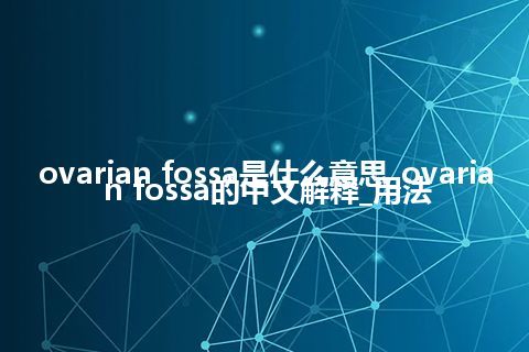 ovarian fossa是什么意思_ovarian fossa的中文解释_用法
