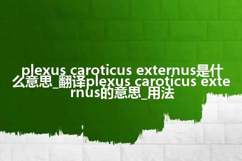 plexus caroticus externus是什么意思_翻译plexus caroticus externus的意思_用法
